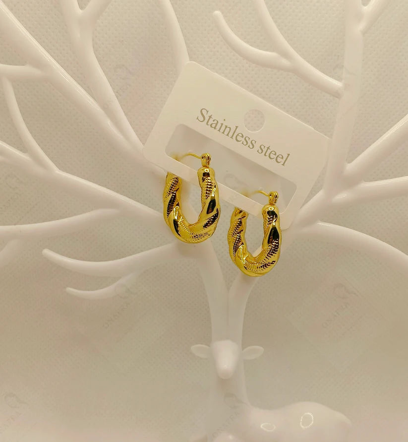 Stainless Steel Earrings – Elegant & Trendy.