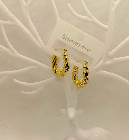 Stainless Steel Earrings – Elegant & Trendy.