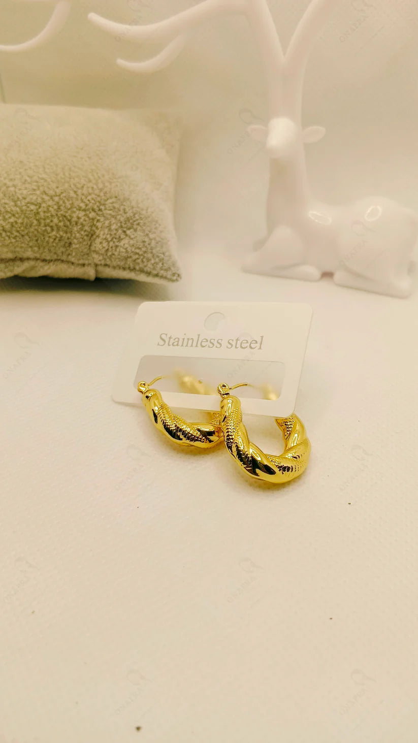 Stainless Steel Earrings – Elegant & Trendy.